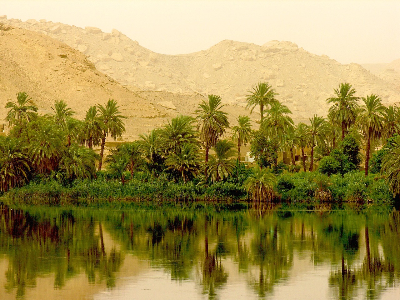 Trees and hills along the Nile river in Egypt Trees and hills along the Nile river in Egypt