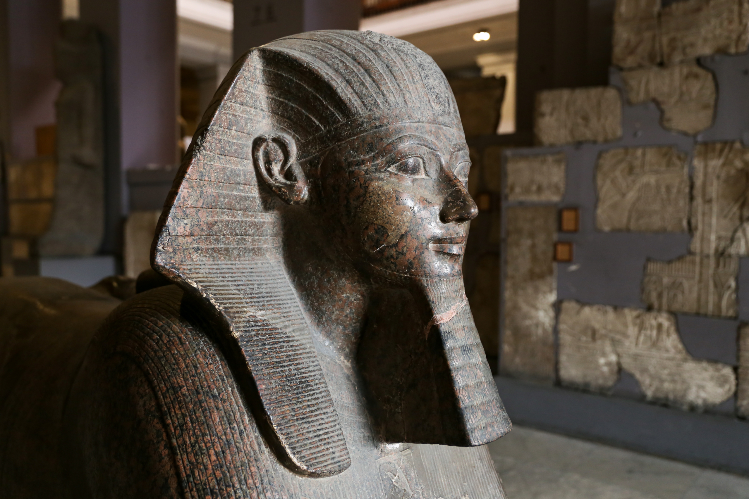 Sphinx in Egyptian Museum, Cairo, Egypt